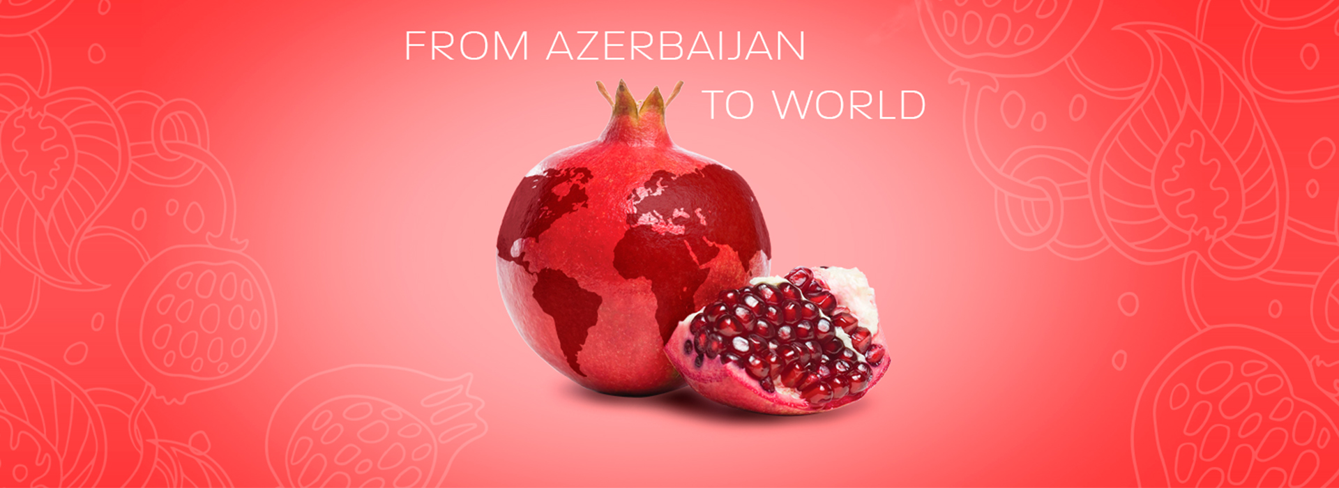 阿塞拜疆葡萄酒（中国）推广中心