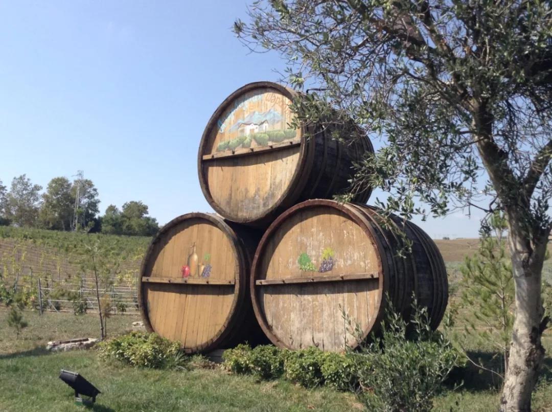 《华夏酒报》：阿塞拜疆，这个葡萄酒国度，你一定不了解  阿塞拜疆葡萄酒中国推广中心  昨天