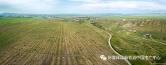 知名葡萄酒博客Wine Explorers阿塞拜疆葡萄园考察笔记